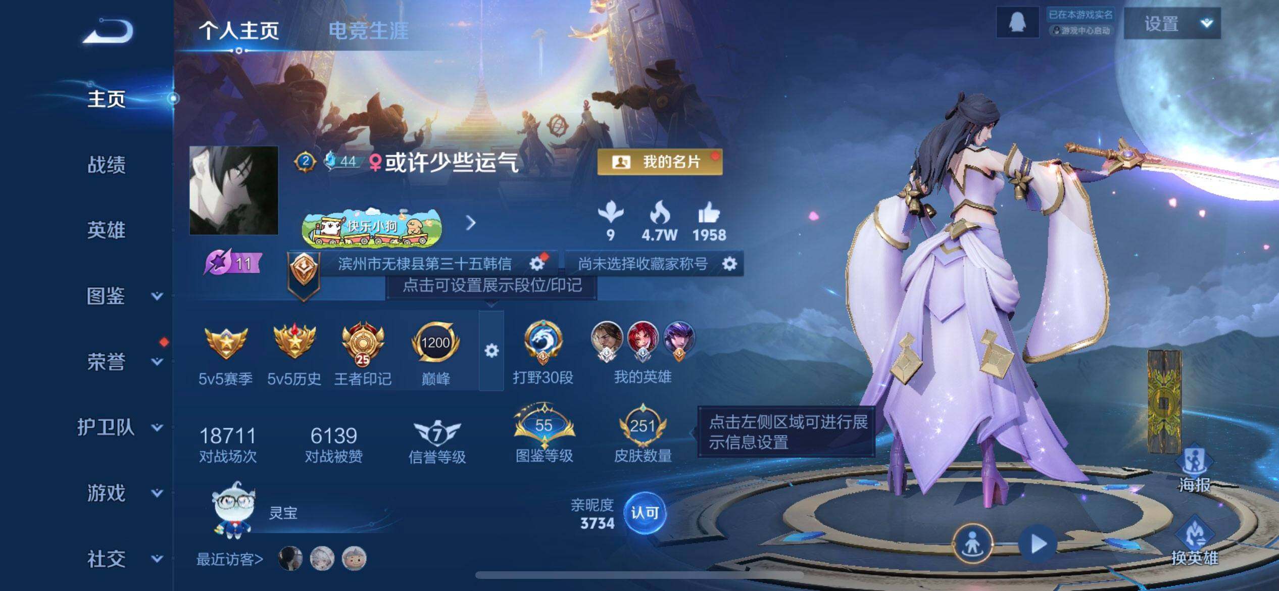 WZLX4271994王者荣耀账号详情图2