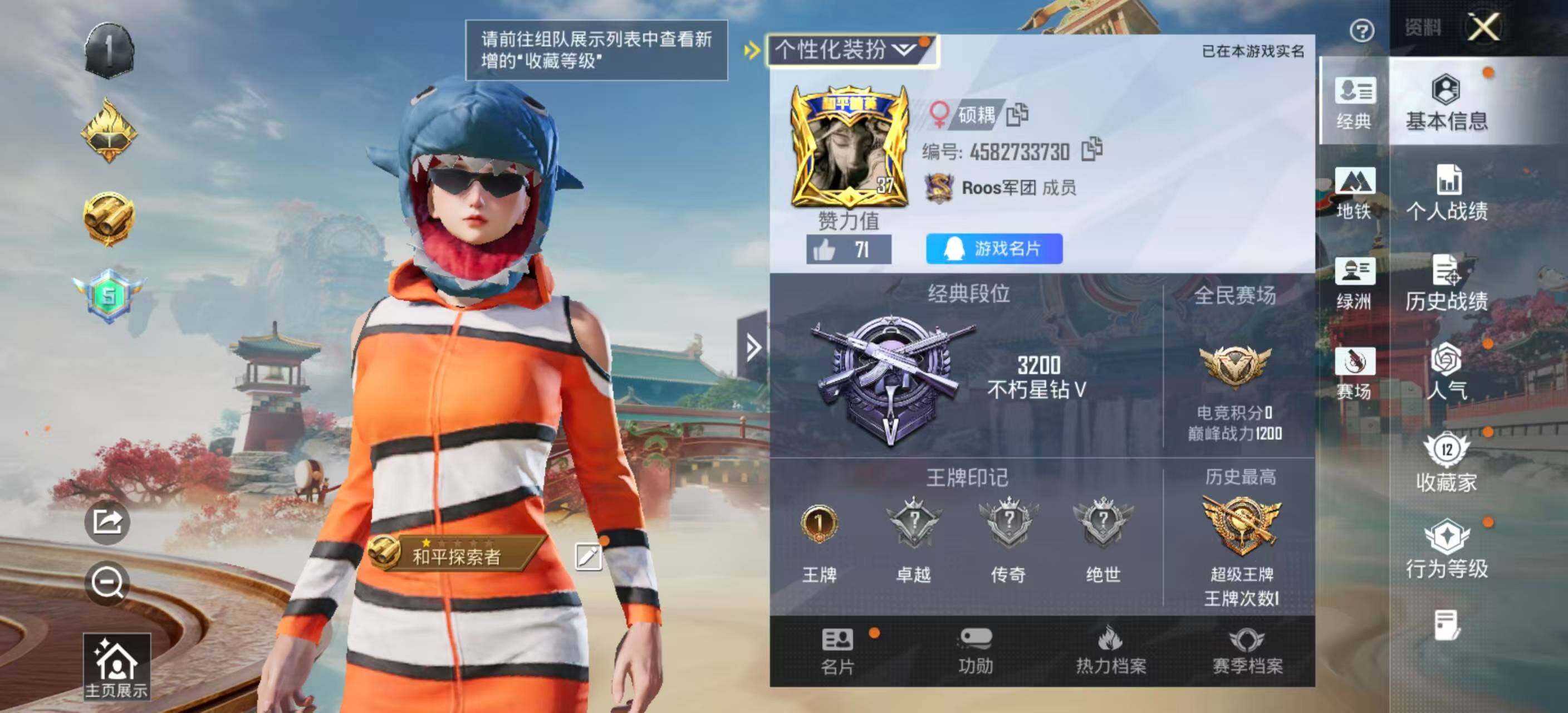 HPLE4155256和平精英账号详情图4