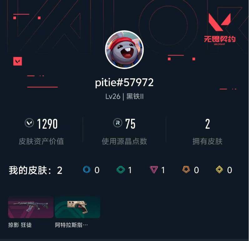 WWQXL425706无畏契约账号详情图3