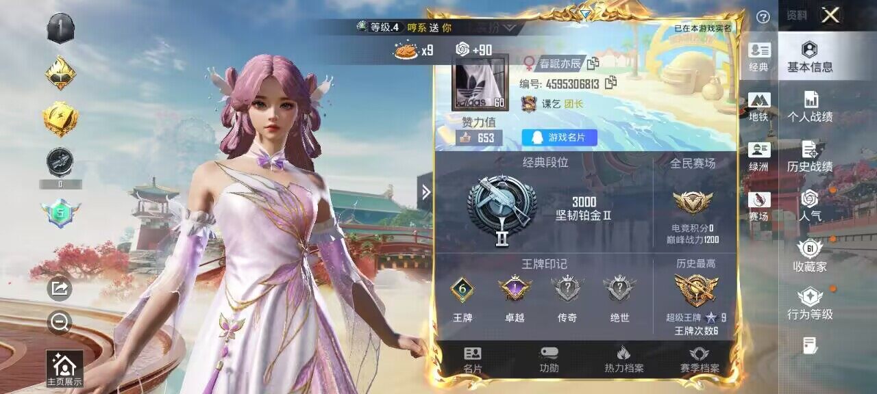 HPQM4163066和平精英账号详情图6