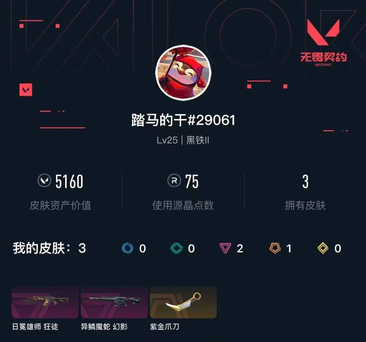 WWQXL425801无畏契约账号详情图3