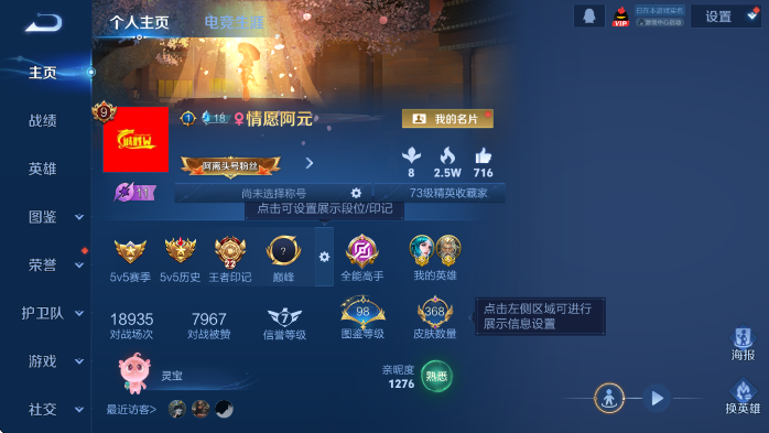 WZLX4273232王者荣耀账号详情图9