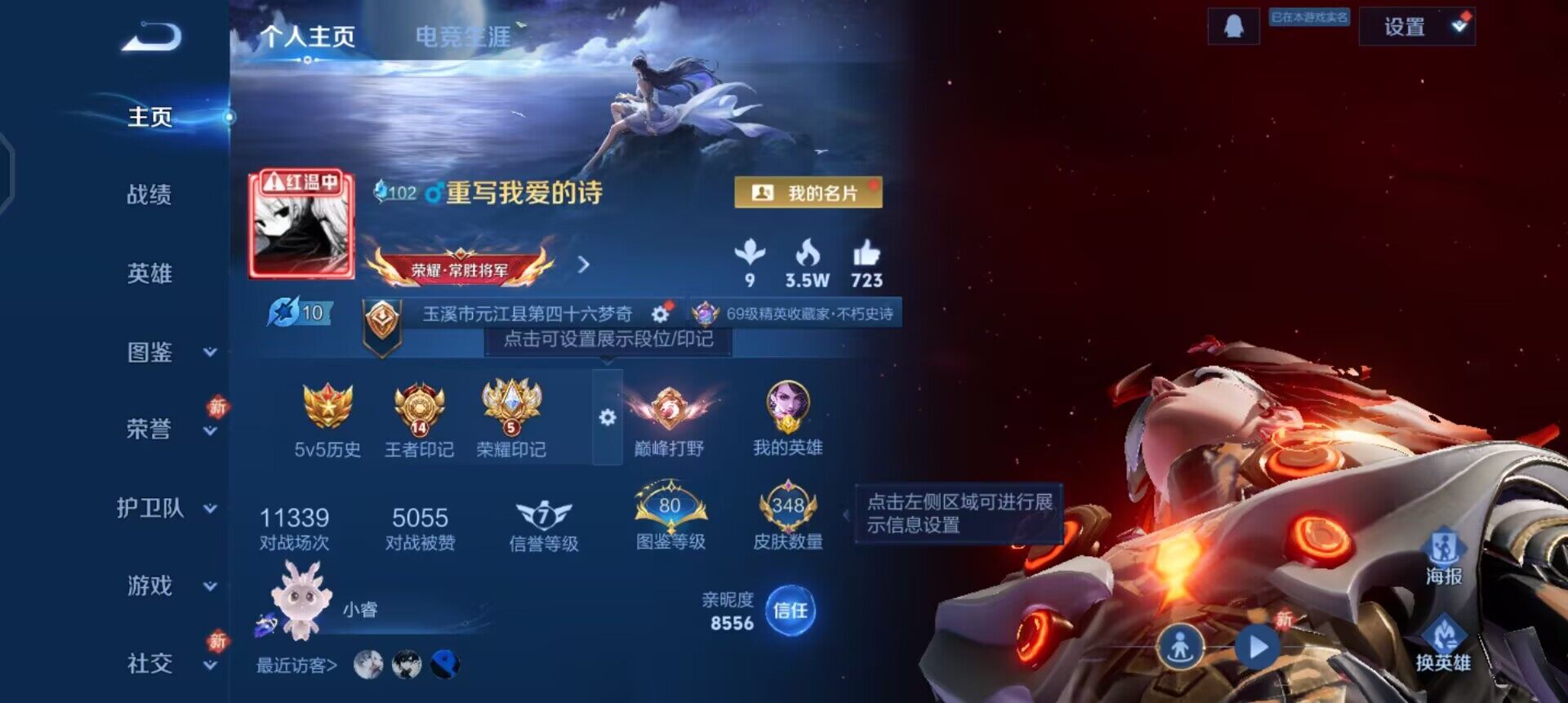 WZLX4274034王者荣耀账号详情图2