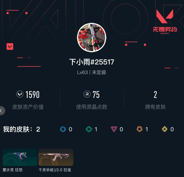 WWQXL426281无畏契约账号详情图3