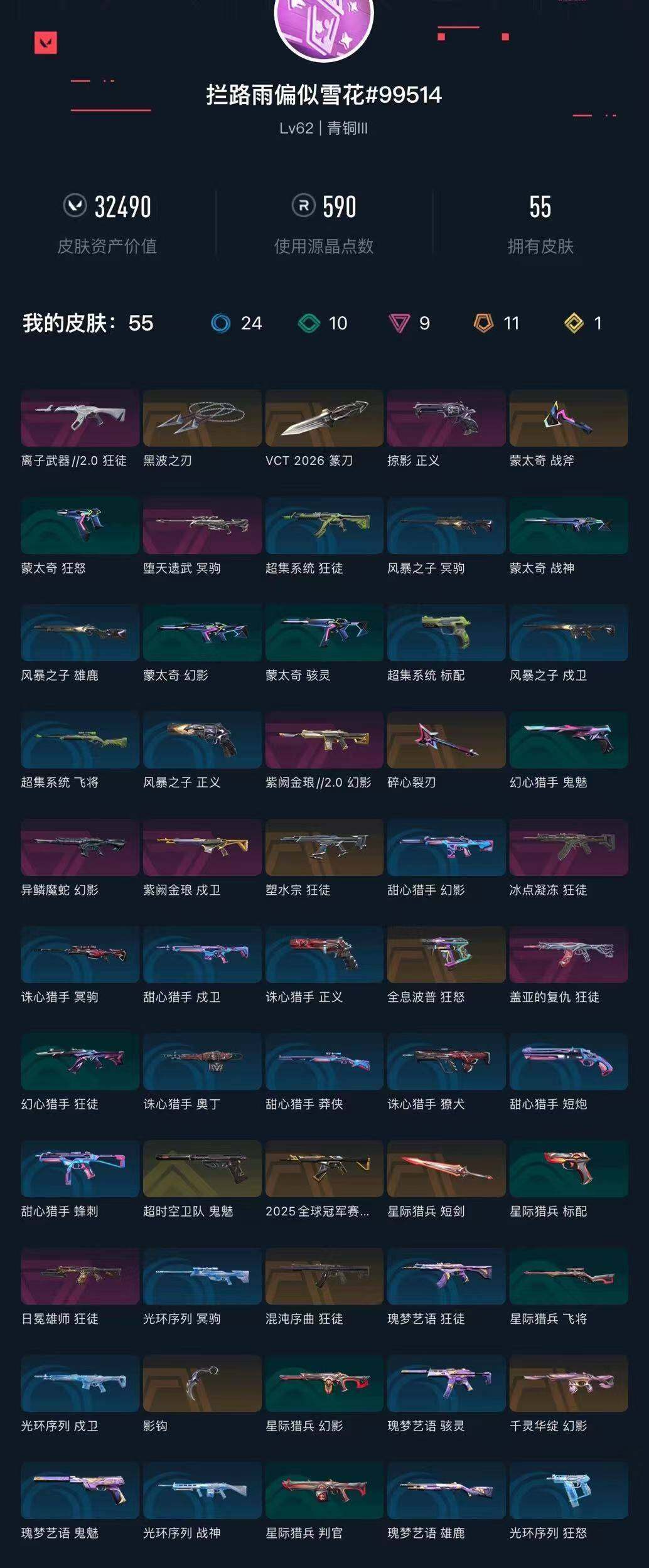 WWQXL426772无畏契约账号详情图3