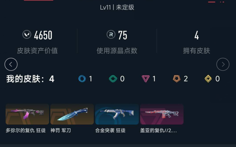 WWQQM426612无畏契约账号详情图4