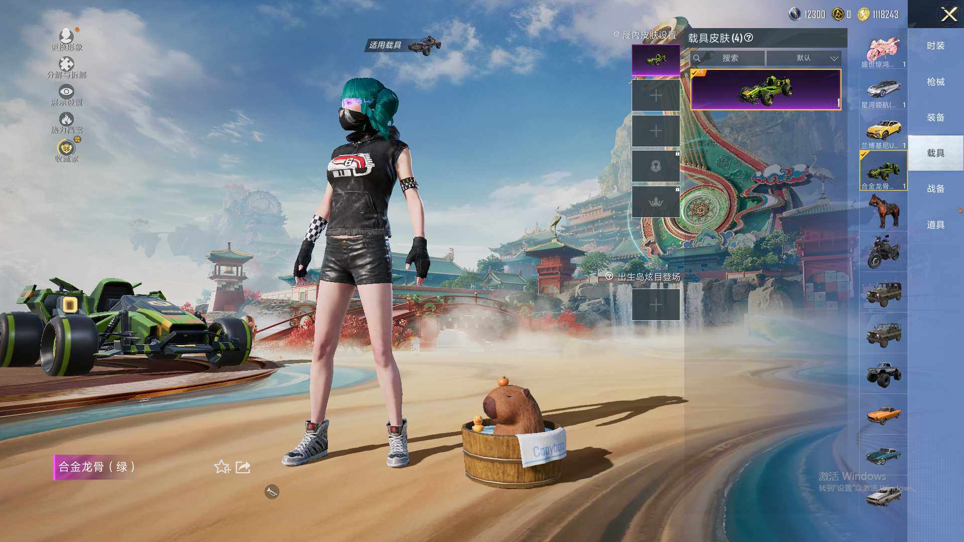 HPLX4156624和平精英账号详情图11