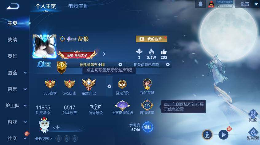 WZLX4276818王者荣耀账号详情图9