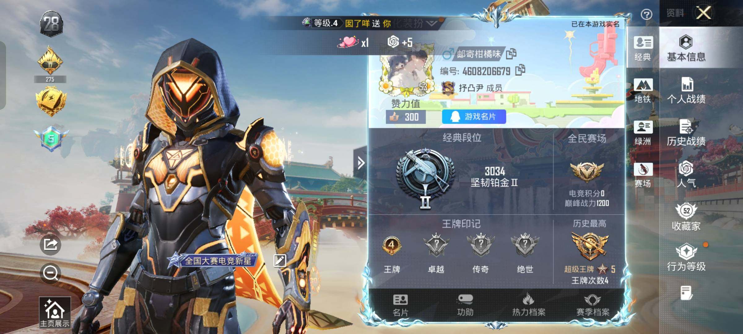 HPLX4156385和平精英账号详情图2