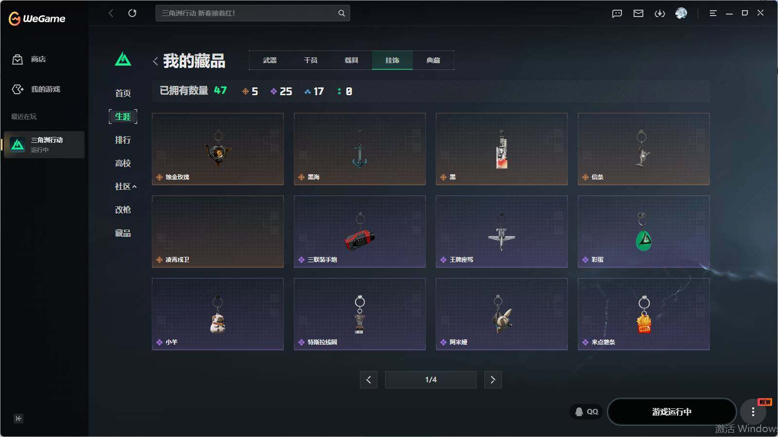 SJZQM4109825三角洲行动账号详情图12