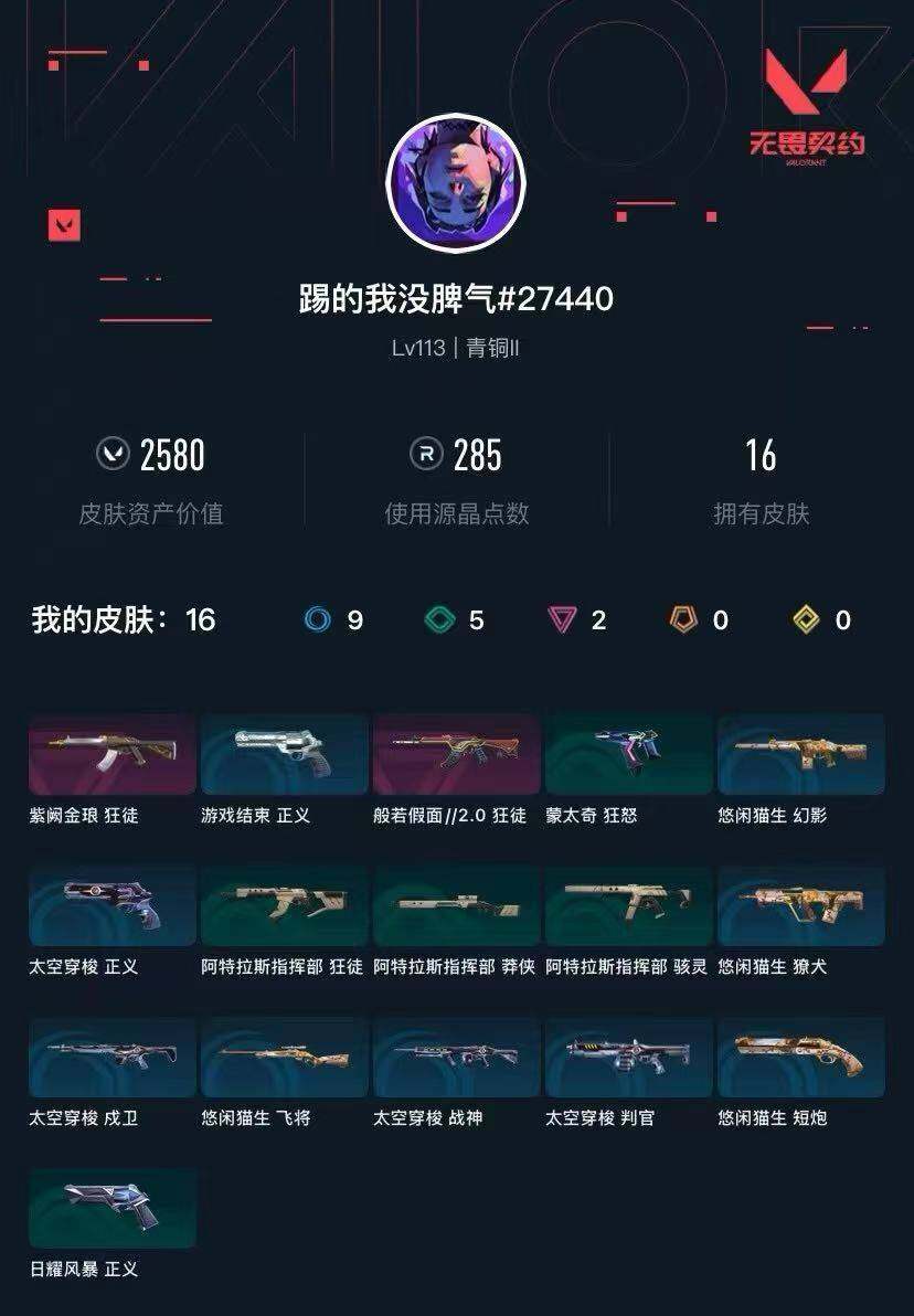 WWQXL427392无畏契约账号详情图3