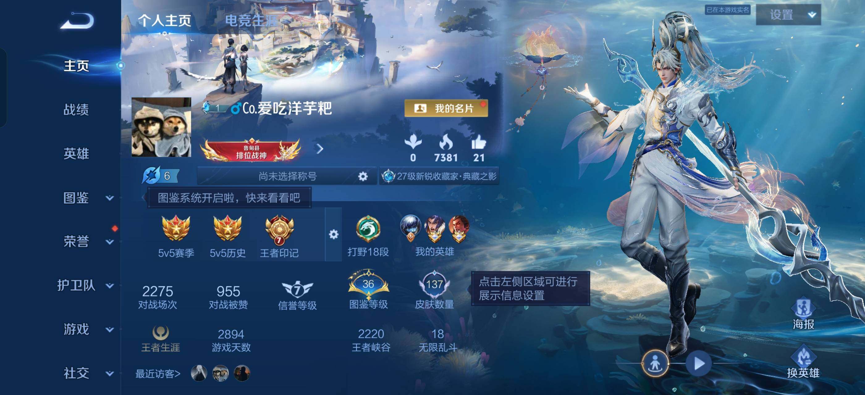 WZLX4285325王者荣耀账号详情图2