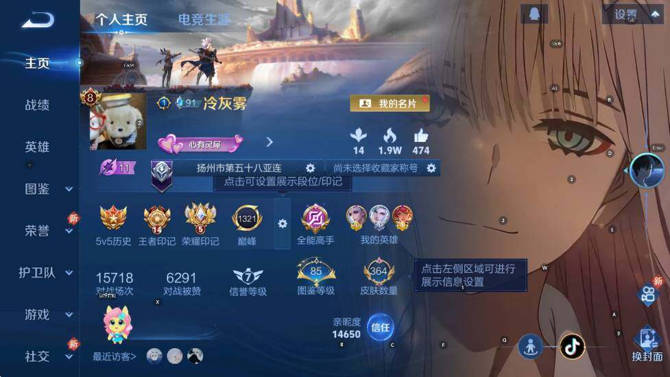 WZLX4280040王者荣耀账号详情图11