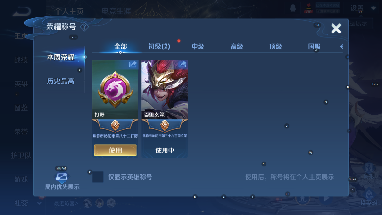 WZLX4290509王者荣耀账号详情图11