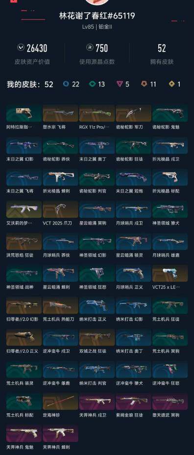 WWQXL427920无畏契约账号详情图5