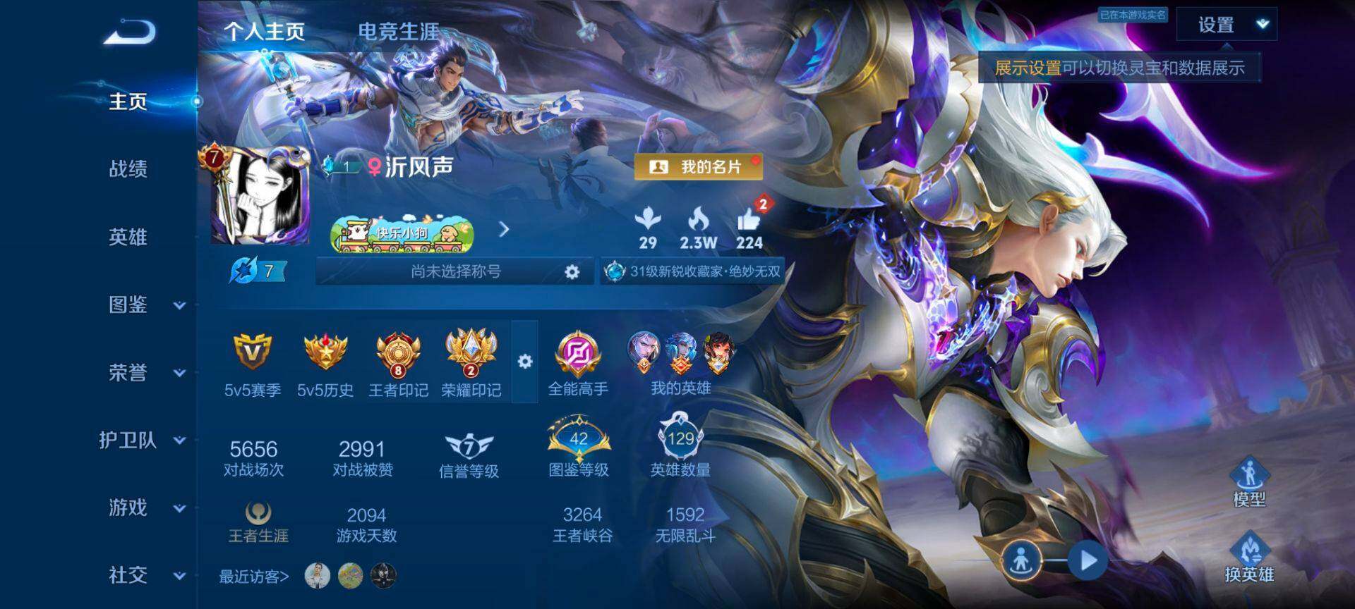 WZQM4292017王者荣耀账号详情图3