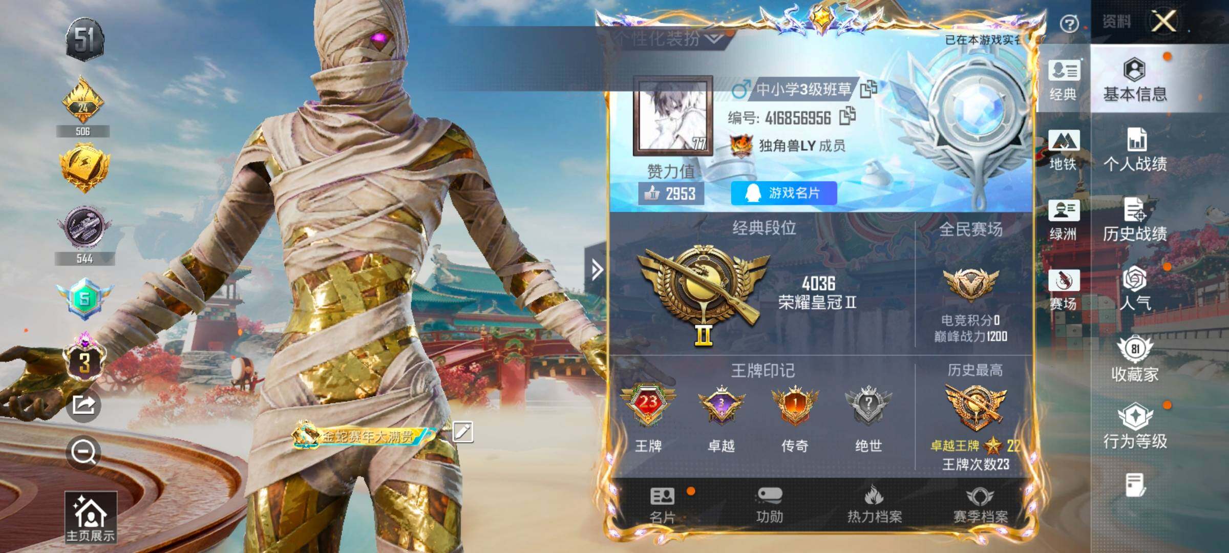 HPLX4163705和平精英账号详情图2