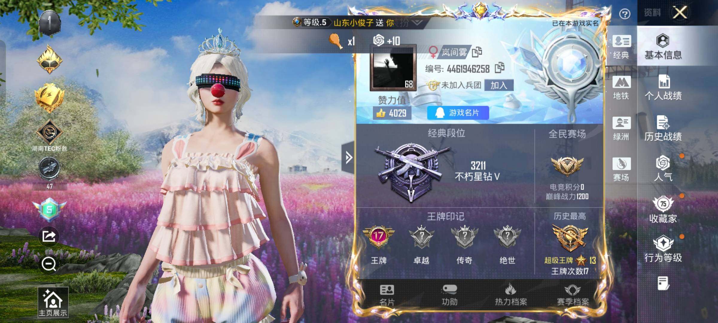 HPLX4163653和平精英账号详情图2