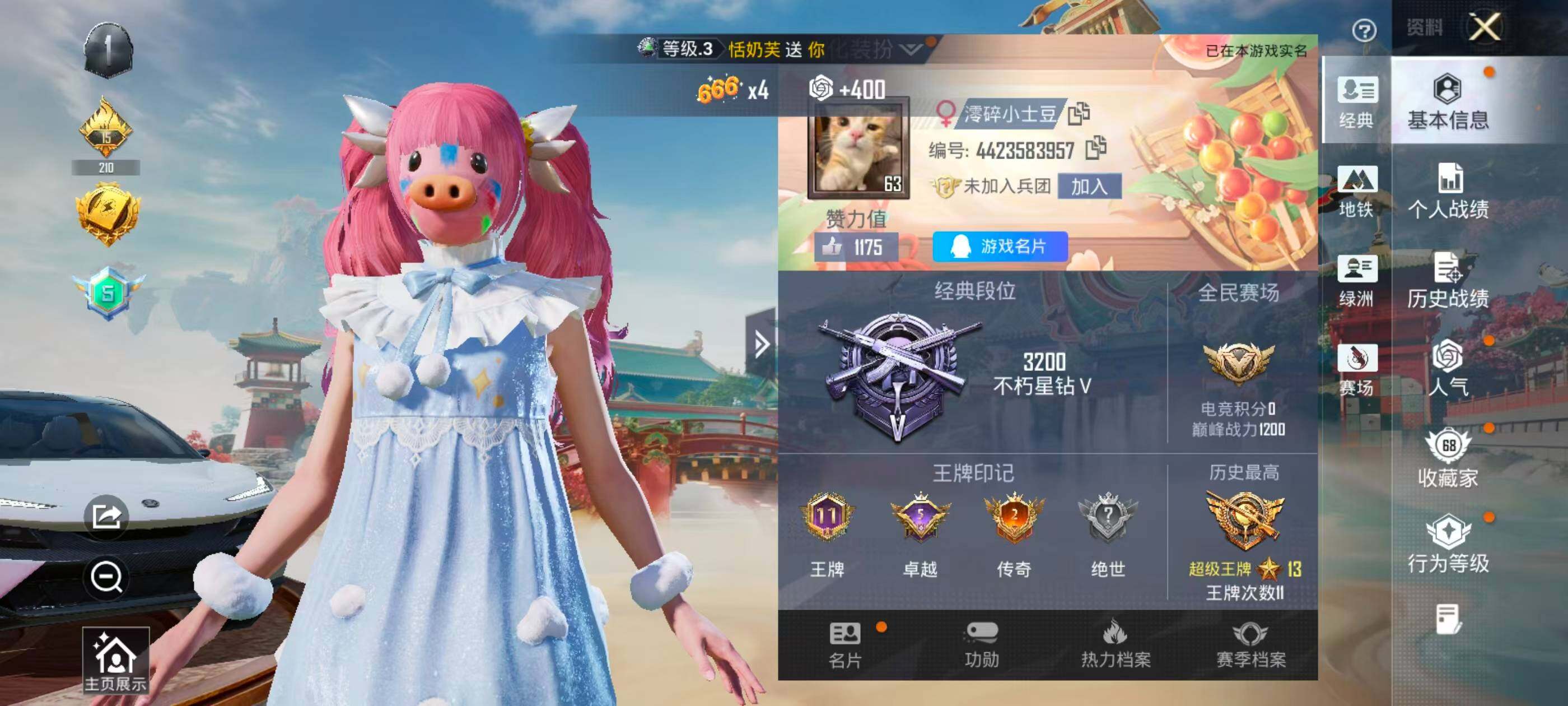 HPLX4177204和平精英账号详情图5