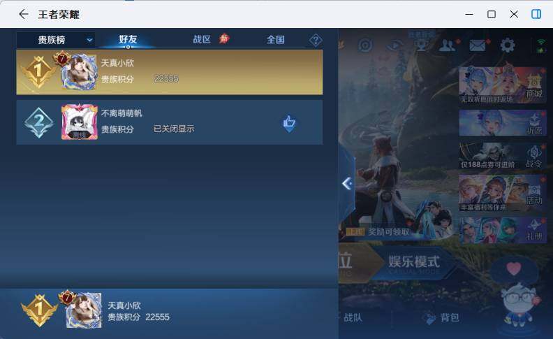 WZLX4290820王者荣耀账号详情图14