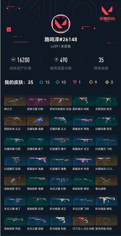 WWQXL429047无畏契约账号详情图4