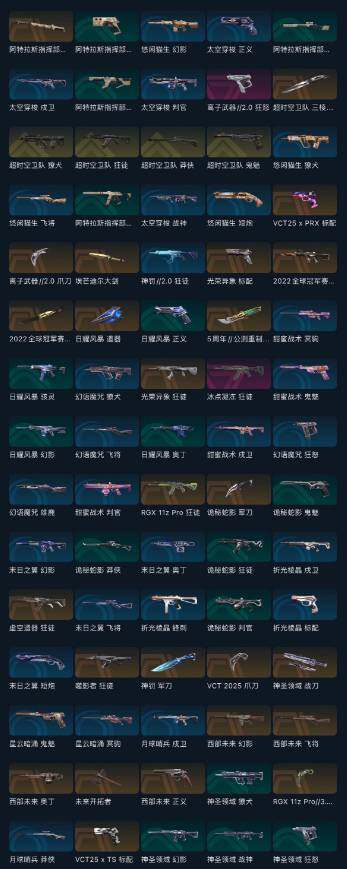 WWQEY429443无畏契约账号详情图10