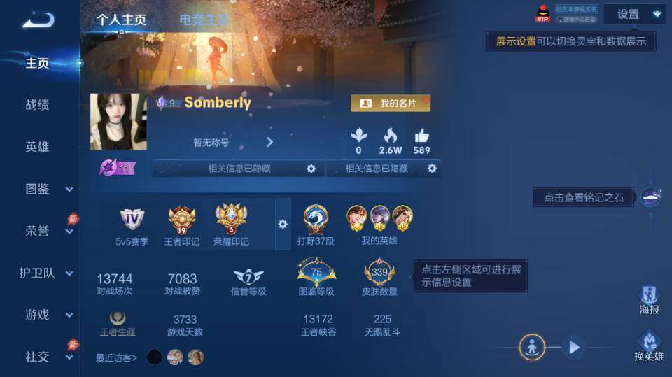 WZQM4288621王者荣耀账号详情图11