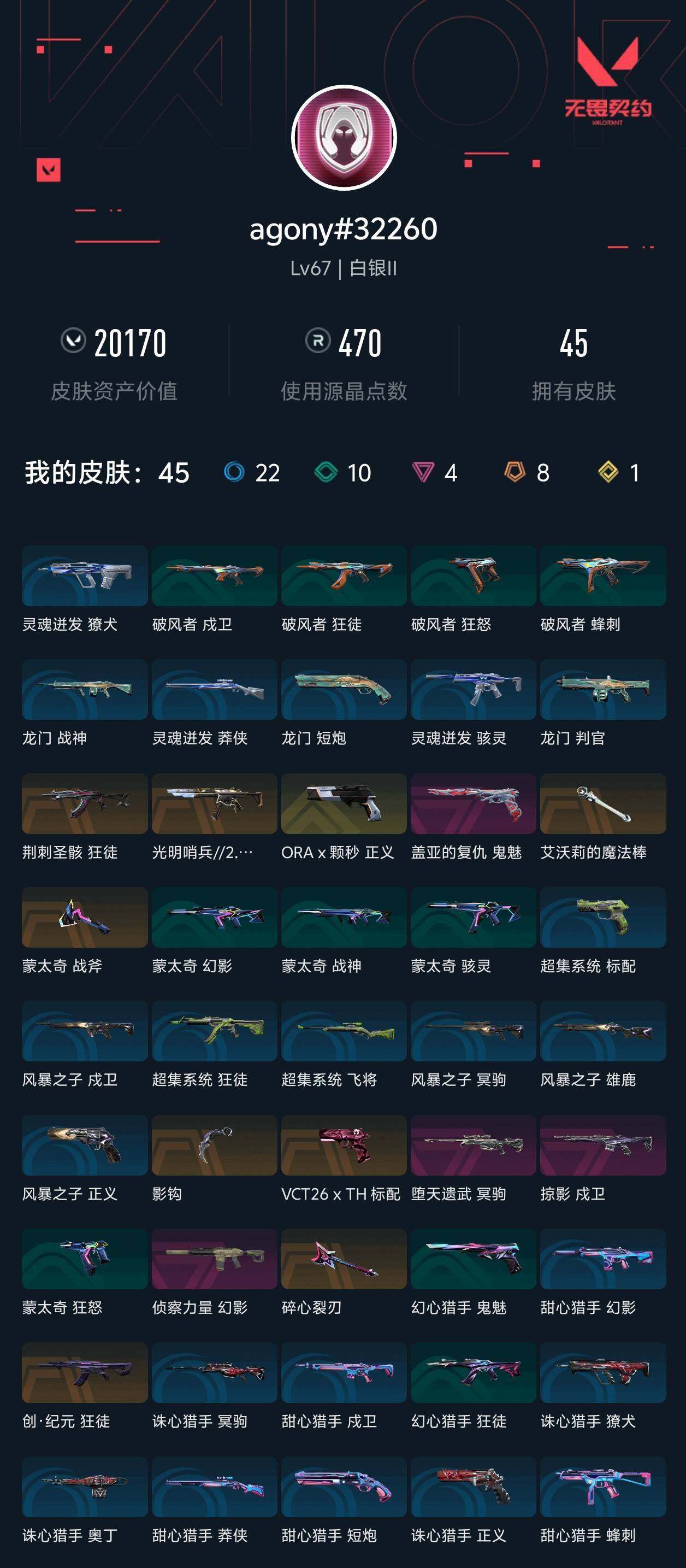 WWQXL429197无畏契约账号详情图3