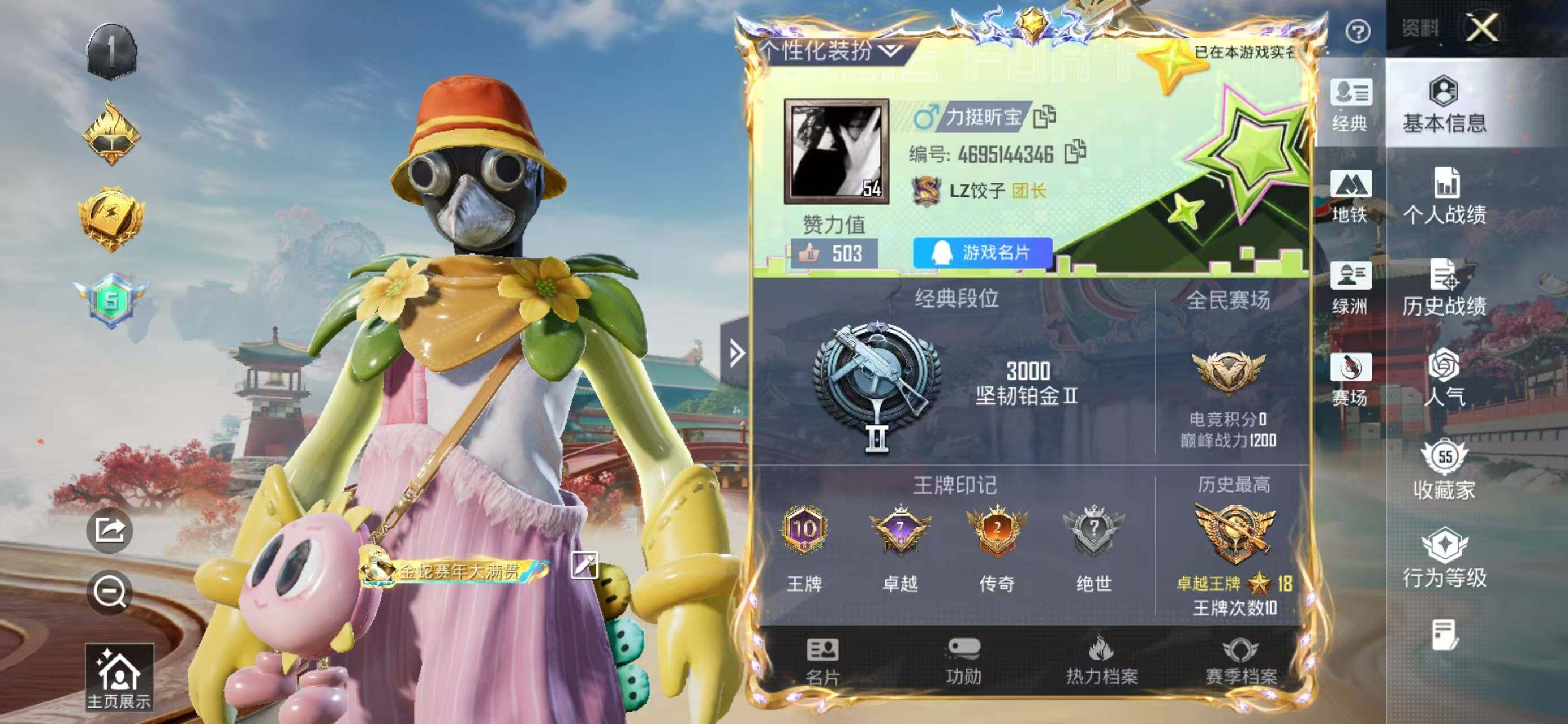 HPLX4164475和平精英账号详情图2