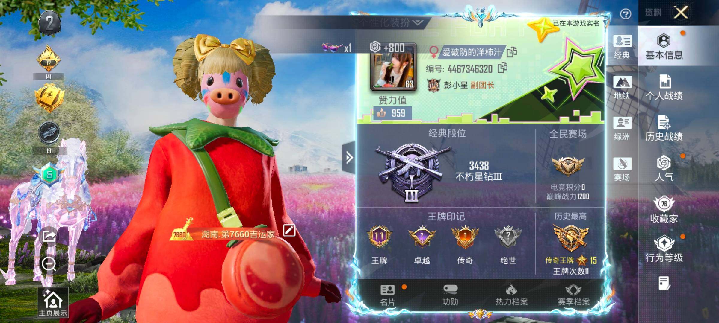 HPLX4165017和平精英账号详情图2