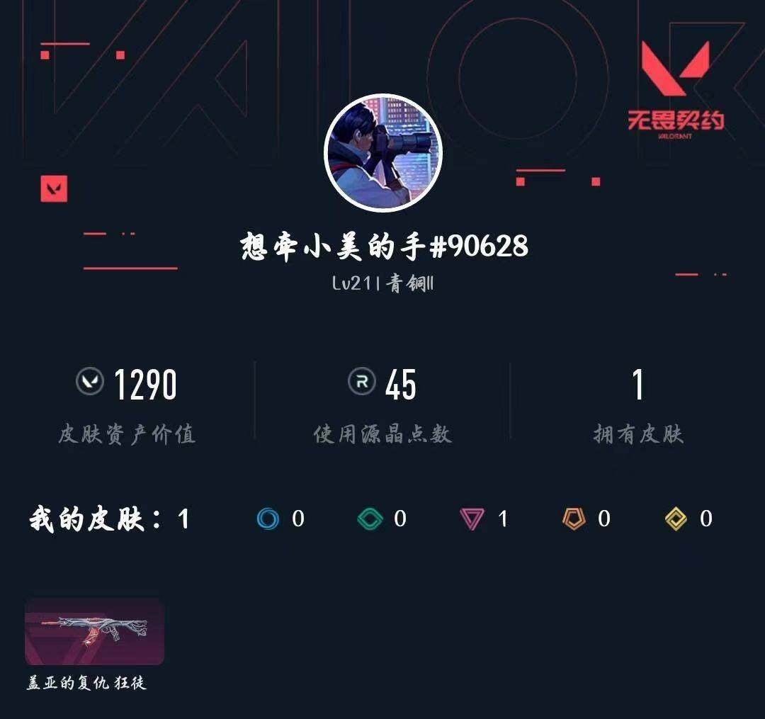 WWQXL429468无畏契约账号详情图3