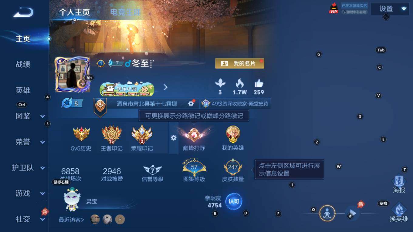 WZQM4298416王者荣耀账号详情图8