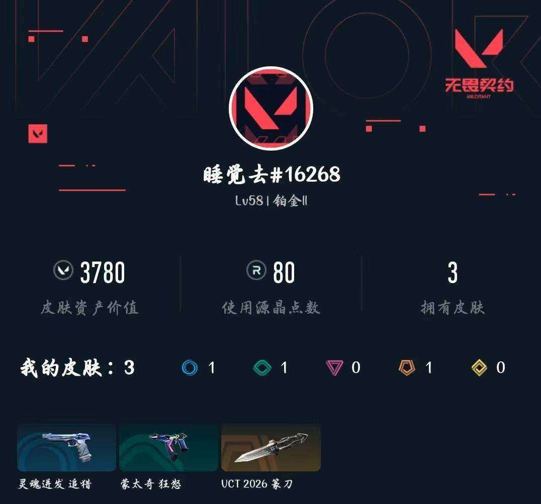 WWQXL429543无畏契约账号详情图3