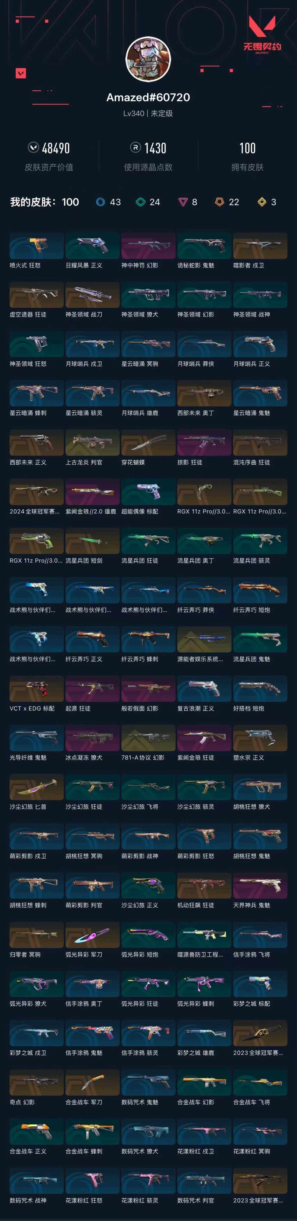 WWQXL429713无畏契约账号详情图6