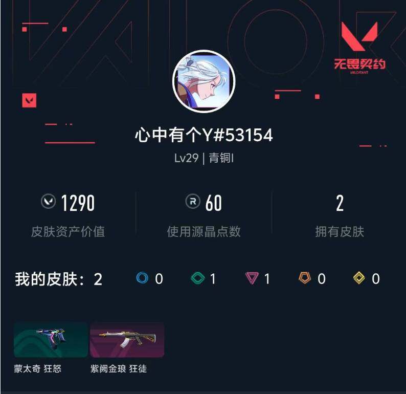 WWQXL429722无畏契约账号详情图3