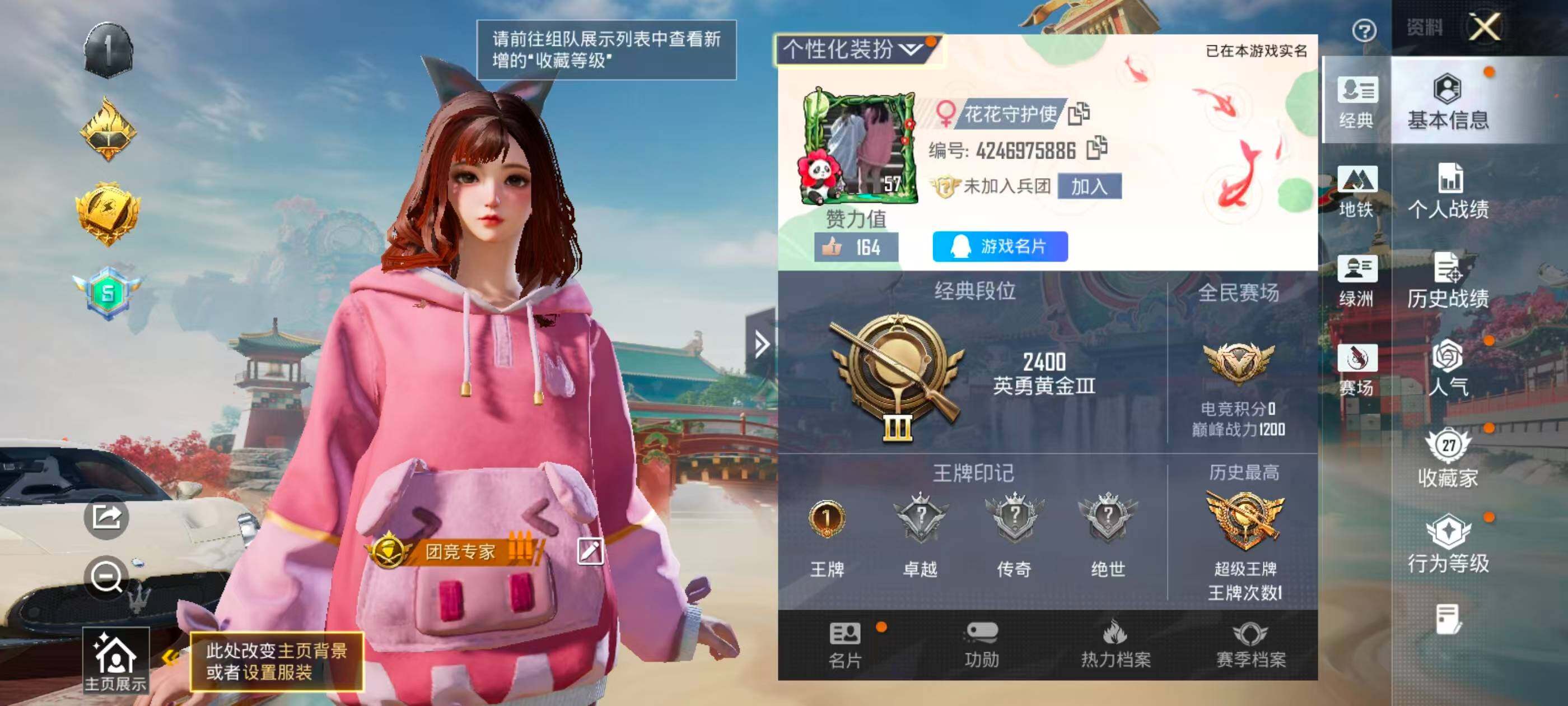 HPCMW4193703和平精英账号详情图4