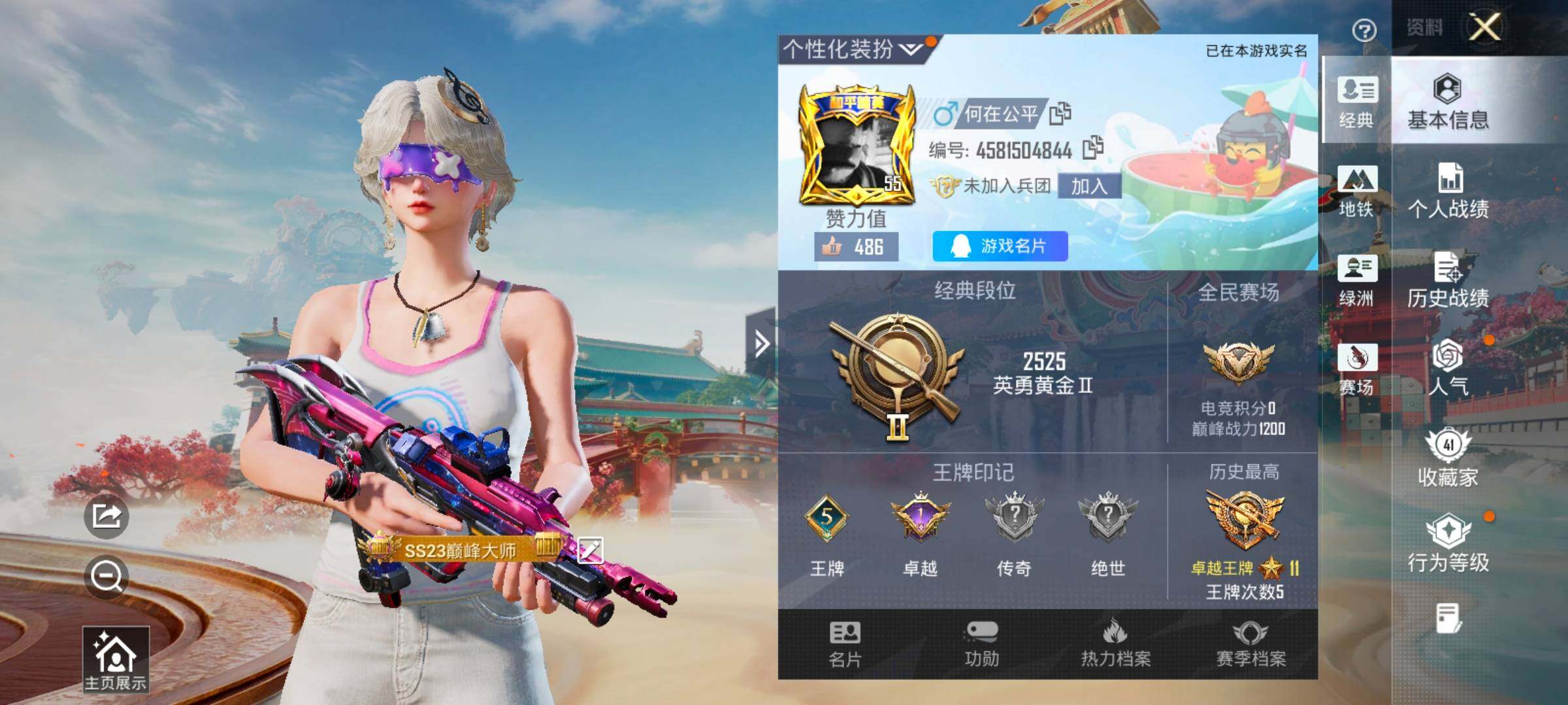 HPLX4171185和平精英账号详情图2 HPLX4171185和平精英账号详情图2