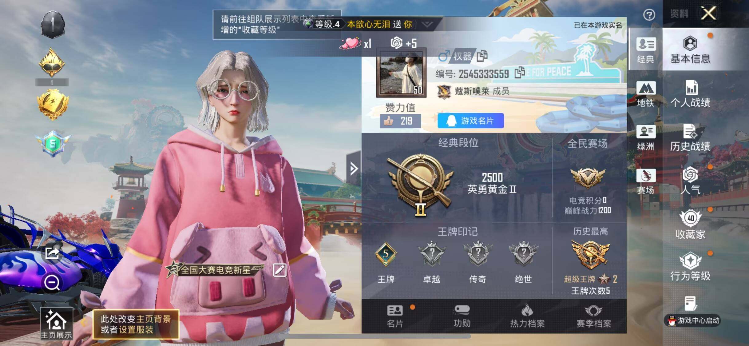 HPLX4182203和平精英账号详情图4