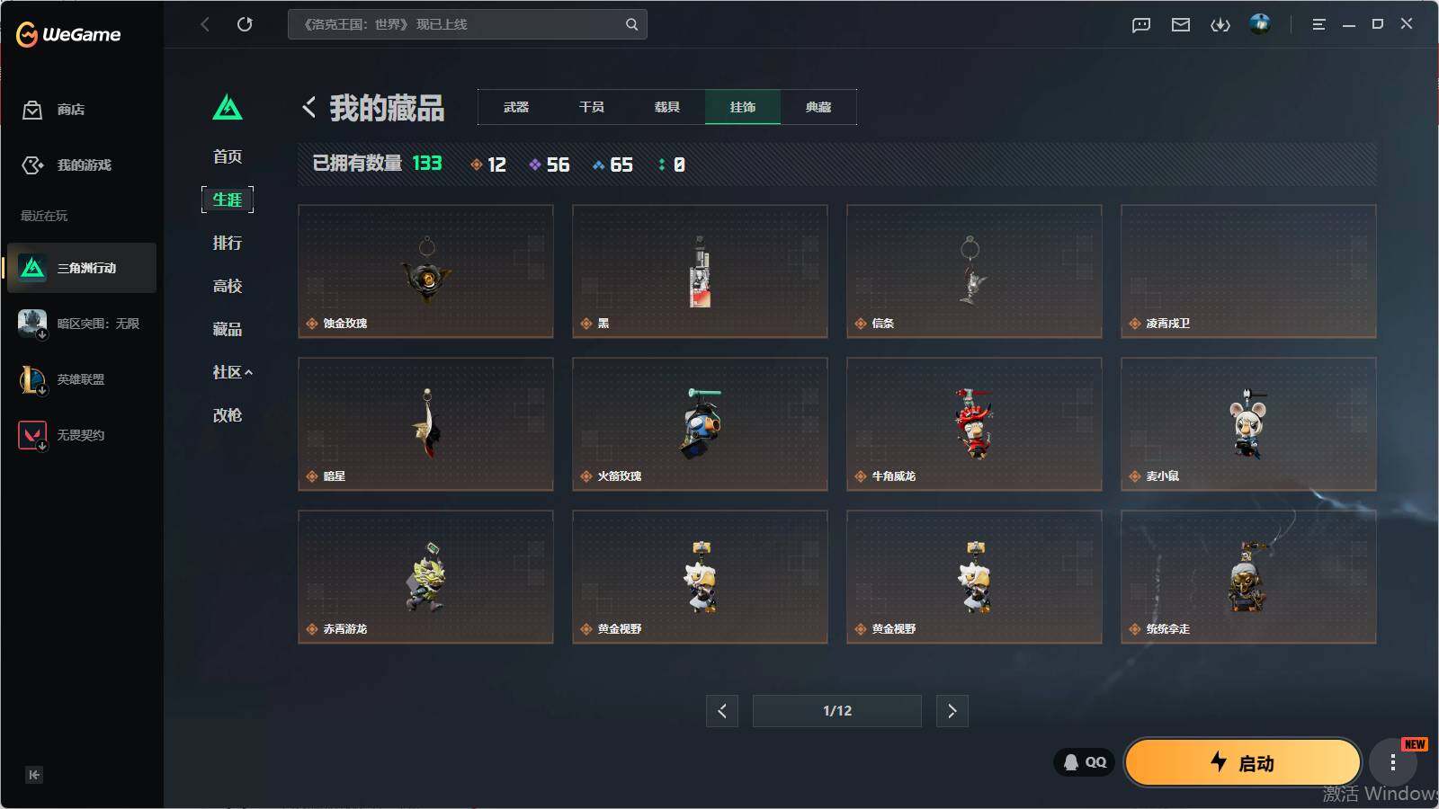 SJZQM4108865三角洲行动账号详情图17