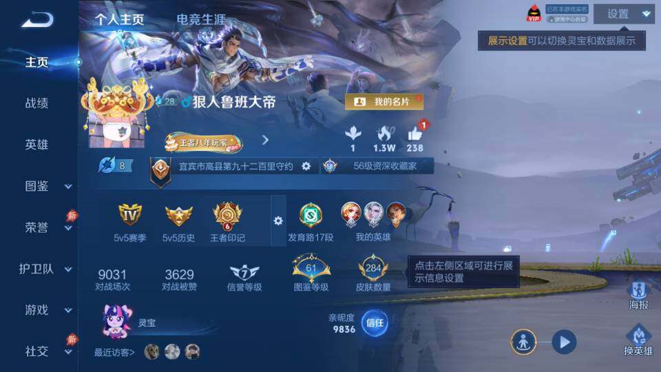 WZQM4310952王者荣耀账号详情图9