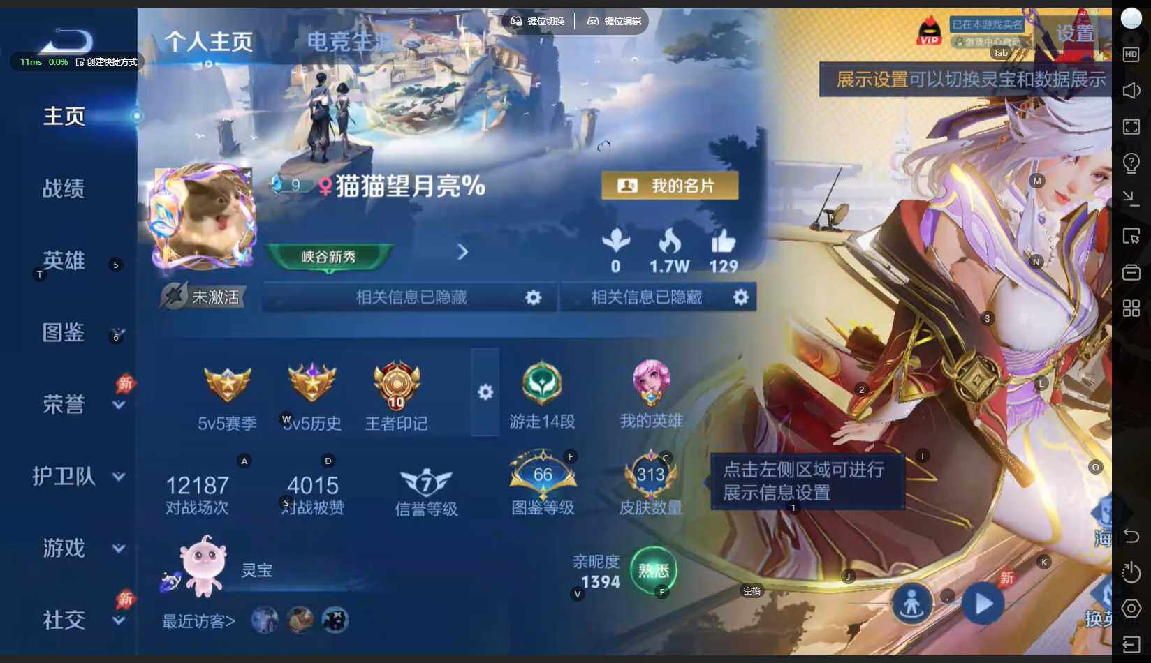 WZBSY4315396王者荣耀账号详情图2