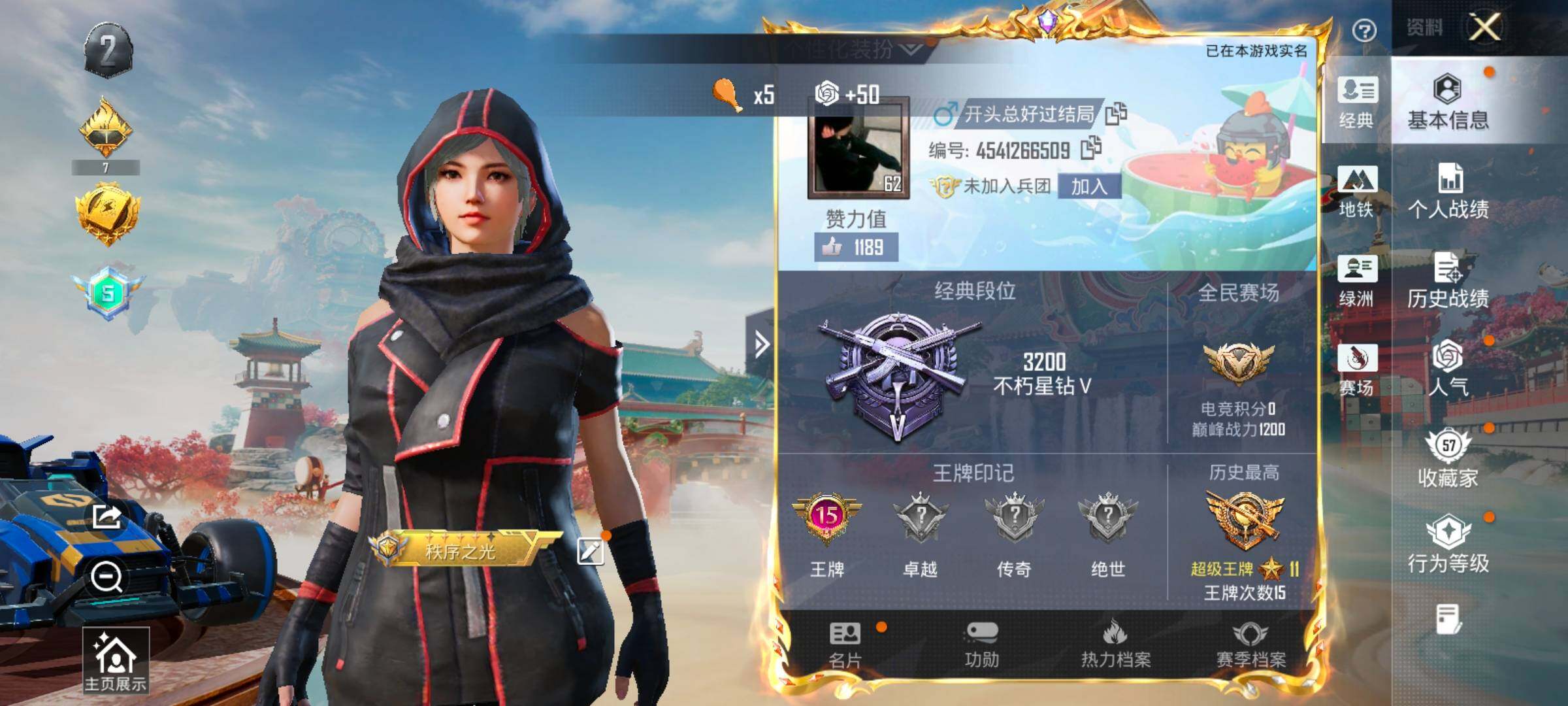 HPLX4172416和平精英账号详情图2