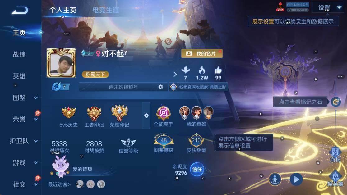 WZLX4301573王者荣耀账号详情图11