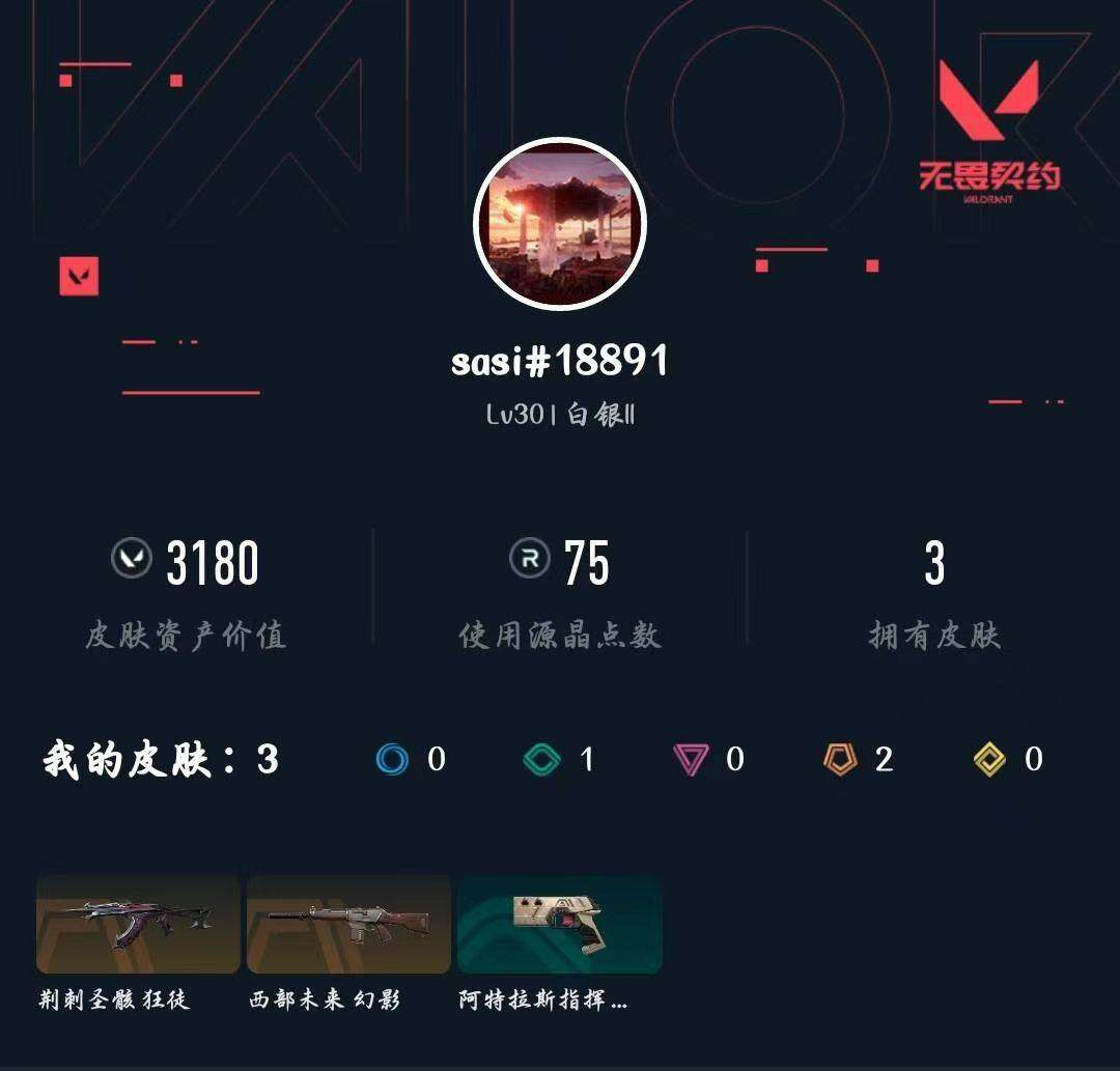 WWQXL430789无畏契约账号详情图3