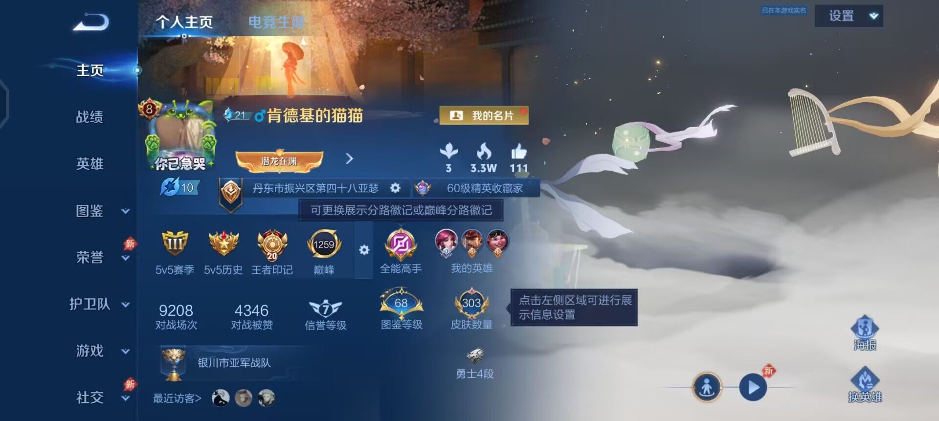 WZQM4311105王者荣耀账号详情图3