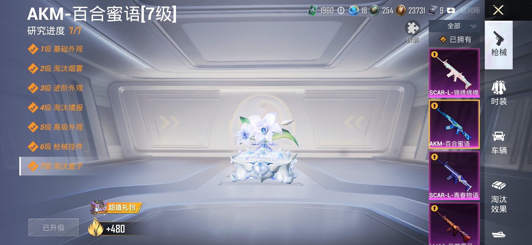 HPLX4173737和平精英账号详情图21