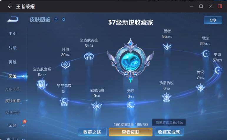 WZLX4306198王者荣耀账号详情图10 WZLX4306198王者荣耀账号详情图10