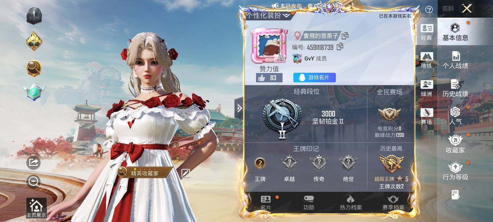 HPLE4179334和平精英账号详情图3