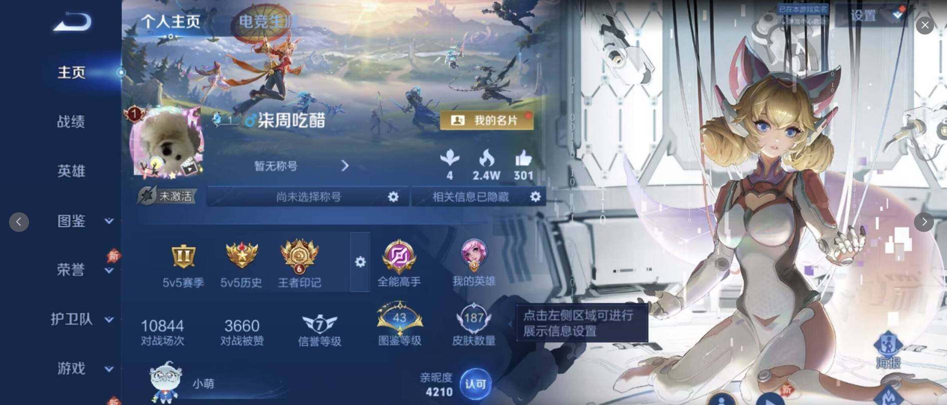 WZLX4309158王者荣耀账号详情图9