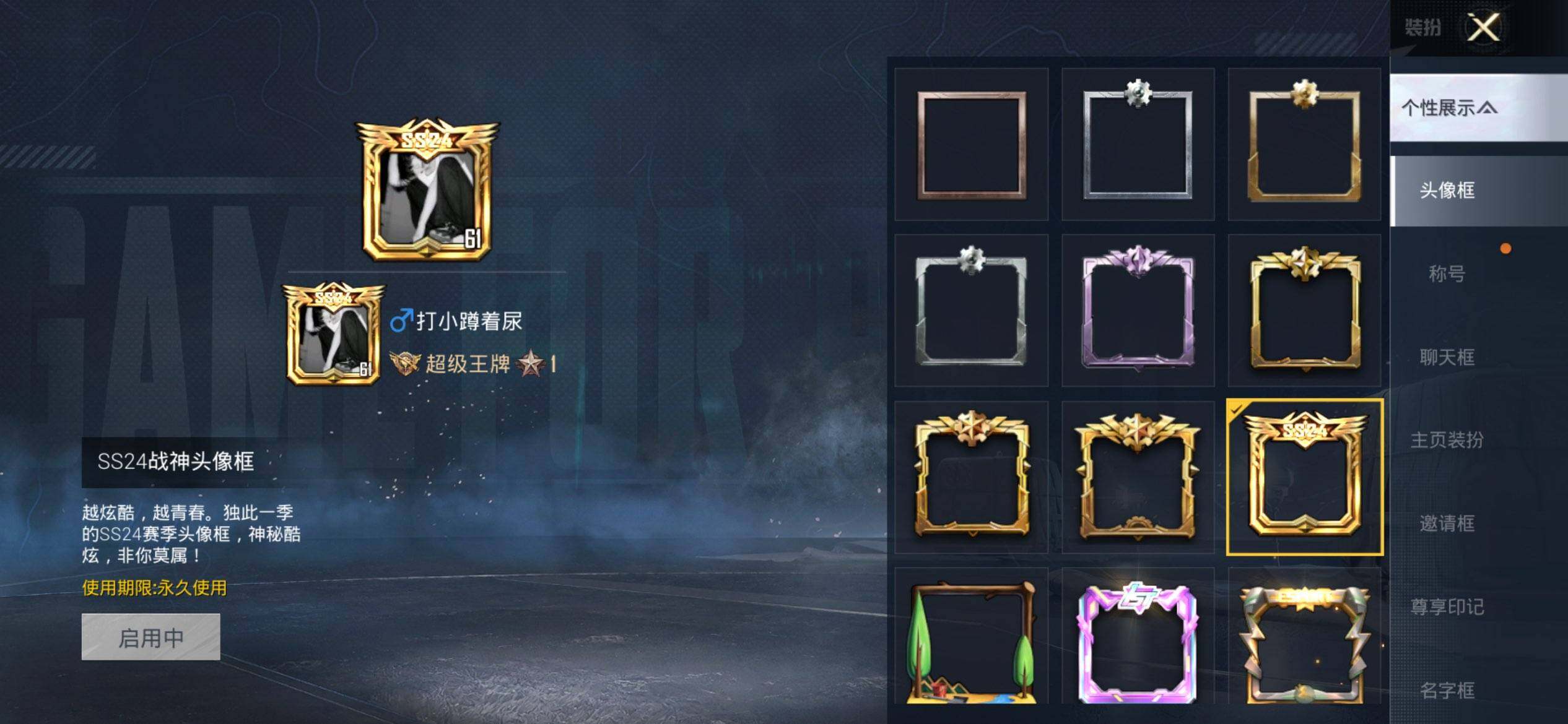 HPQM4176223和平精英账号详情图4